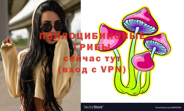 соль ск Абинск