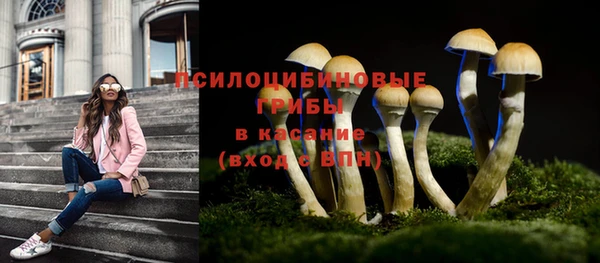 прущая мука Абдулино