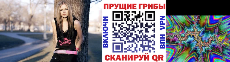 купить наркоту  Новое Девяткино  Псилоцибиновые грибы мухоморы 